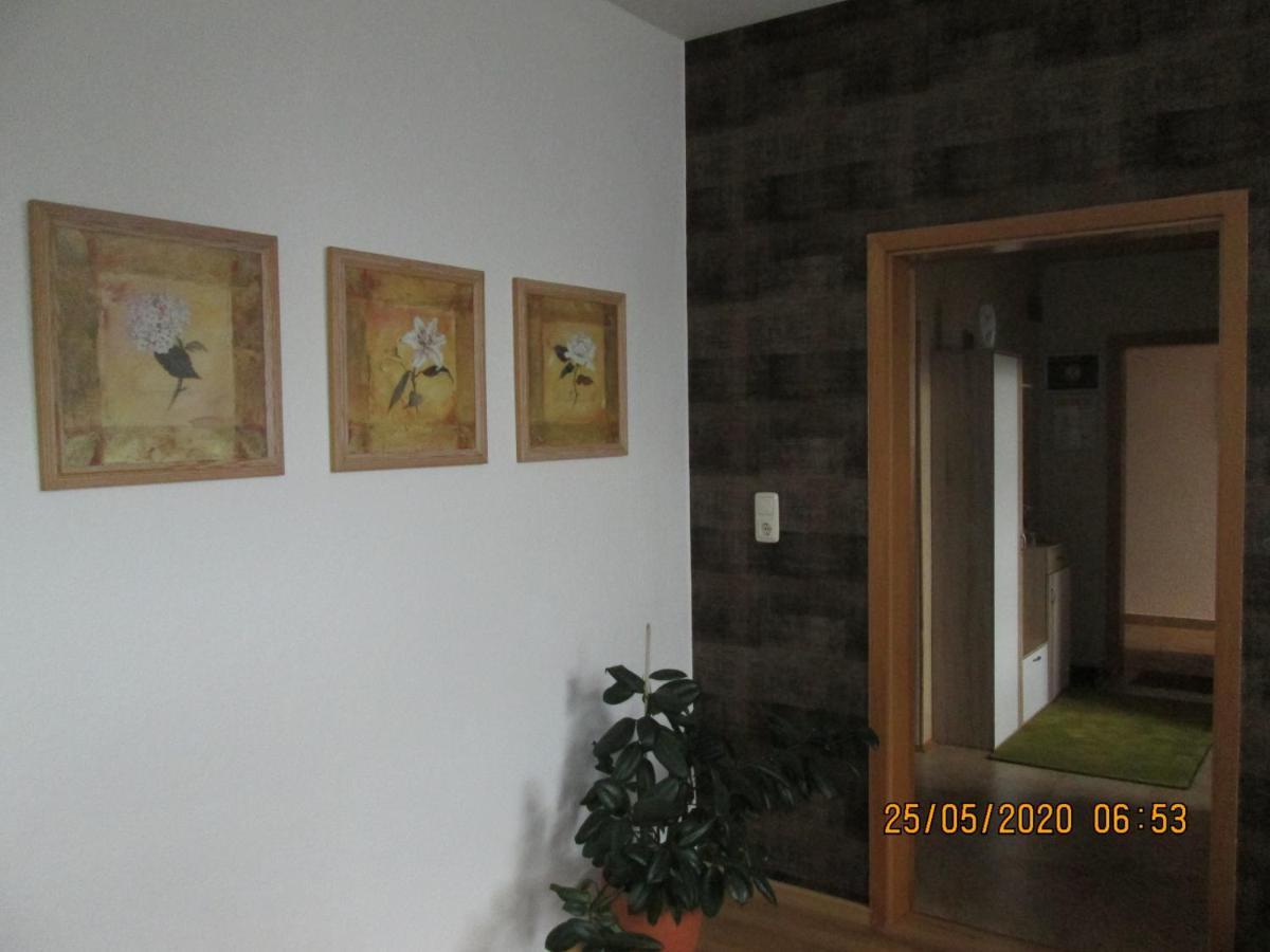 Zentrale-Ruhige Ferienwohnung Райхенбах-ім-Фогтланд Екстер'єр фото