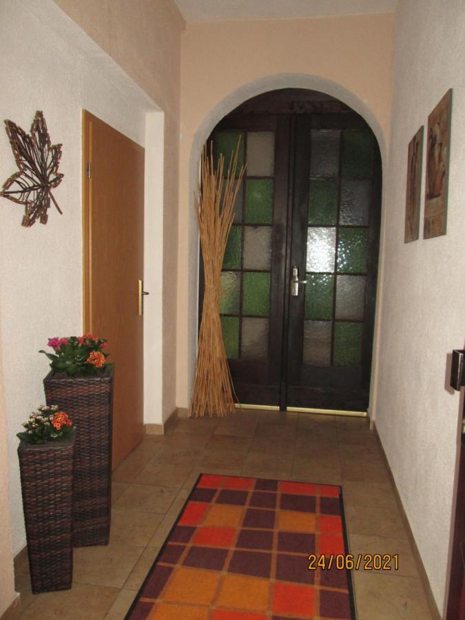 Zentrale-Ruhige Ferienwohnung Райхенбах-ім-Фогтланд Екстер'єр фото