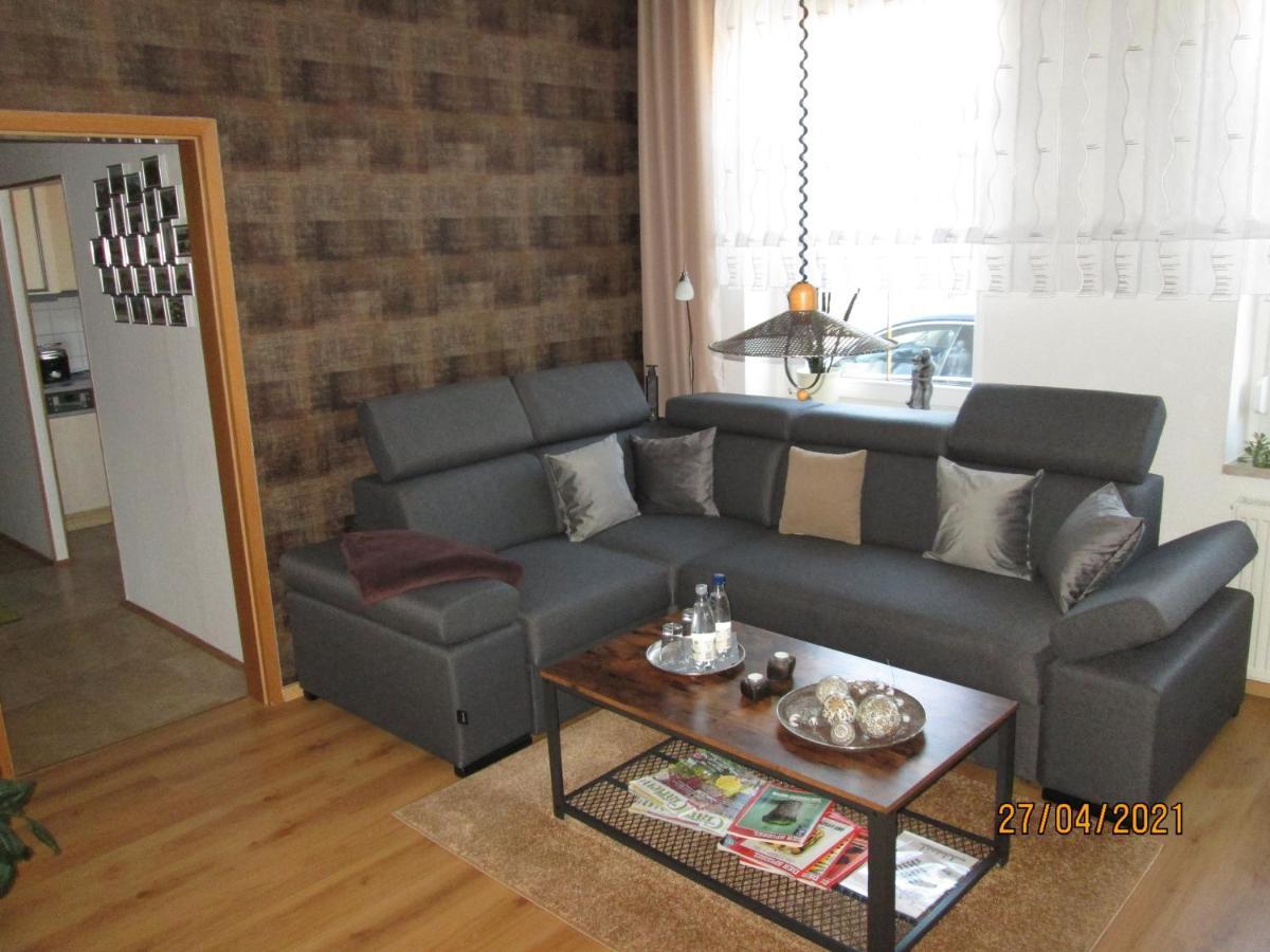 Zentrale-Ruhige Ferienwohnung Райхенбах-ім-Фогтланд Екстер'єр фото
