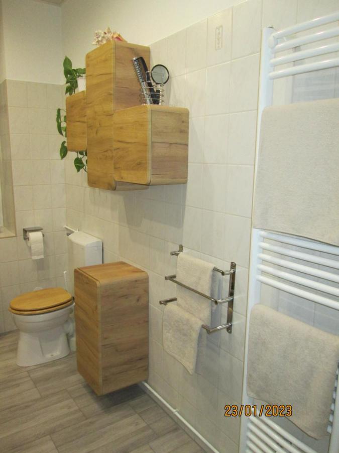 Zentrale-Ruhige Ferienwohnung Райхенбах-ім-Фогтланд Екстер'єр фото