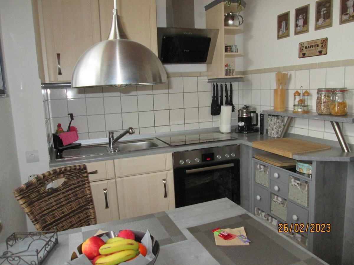 Zentrale-Ruhige Ferienwohnung Райхенбах-ім-Фогтланд Екстер'єр фото